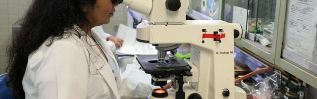 Marine Institute Celebrates International Day of Women in Science