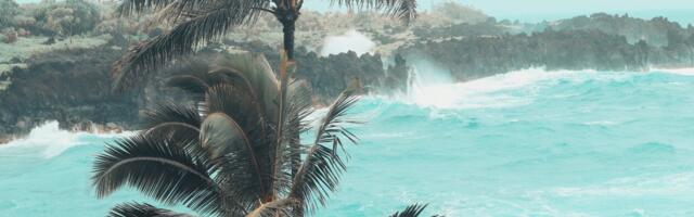 Hawaii’s Maui Tourism Faces ‘Long Recovery’ After Wildfires