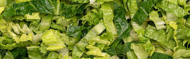 The parasite panic didn't stop thousands of nutrition experts from chowing down on salad