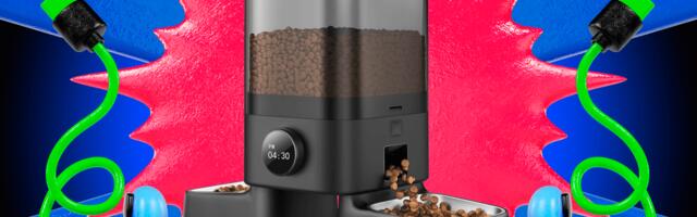 The Best Prime Day Pet Deals (October 2025)