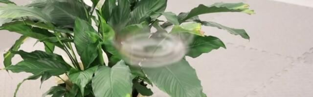 ‘Phantom Twist’ drone spins so fast that it is nearly invisible — flying device adds motion blur to the real world