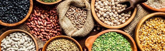 Getting Enough Protein Without Meat? These Vegan-Friendly Tips Make It Easier