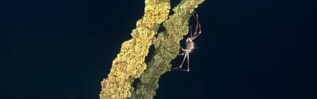 How This Long Lost WW2 Wreck is 'Rewriting History' video