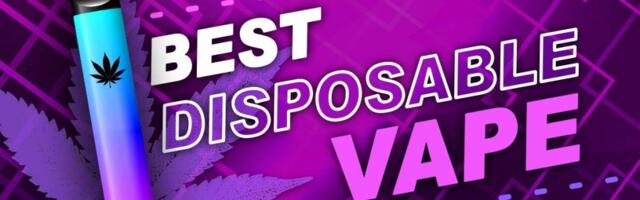 10 Best Disposable Vapes of 2024 on the Market: An In-Depth Guide
