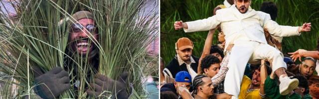 I flew across the country to be a bunch of dancing grass at Bad Bunny's Super Bowl halftime show