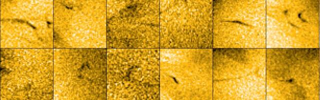 Solar Orbiter Captures Incredible Footage of Tiny Jets Near the Sun’s South Pole