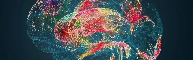 [Перевод] Нейробиология воображения: мозг использует одни и те же нейронные коды для зрения и мысленной визуализации