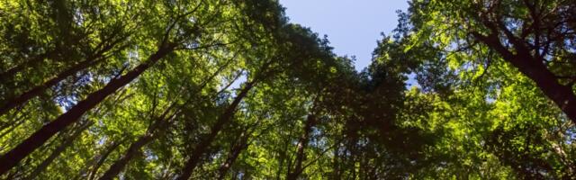 11 Ways to Reduce Your Laptop’s Impact on the Environment
