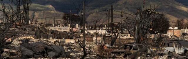 Hawaii utility takes responsibility for Maui fire