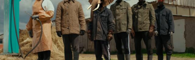 Благодаря чему хобот слона работает как высокоточный сенсор и что это открытие дало робототехнике