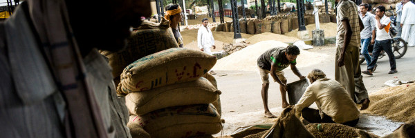 Arya raises $21M to provide farmers in India finance and post-harvest services