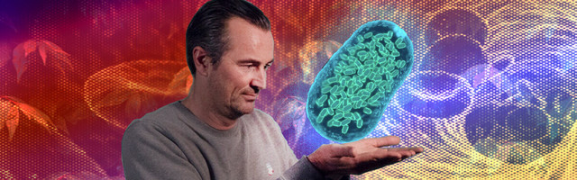 Treat your business like a living, breathing organism