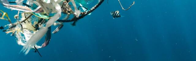 Airbnb co-founder pours another €23.2 million into The Ocean Cleanup