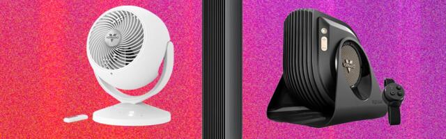 The 13 Best Fans to Buy Before It Gets Hot Again (2026)