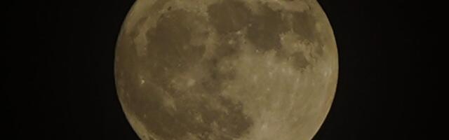 The Strawberry Moon Appears Tonight, but This Full Moon Isn't Pink at All
