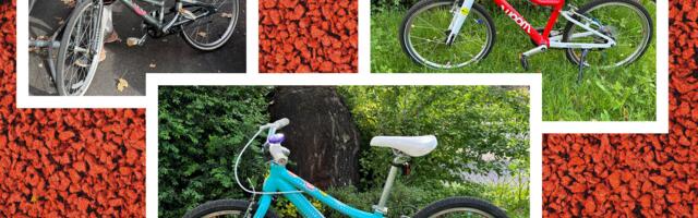 8 Best Kids’ Bikes (2024): Balance, Pedal, Coaster