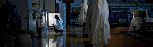 Science PhDs face a challenging and uncertain future