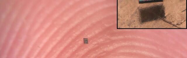These Tiny Robots Are Smaller Than Grains of Salt and Can Think, Move and Swim