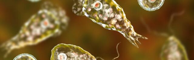 These Popular National Parks Are Teeming With Brain-Eating Amoebas