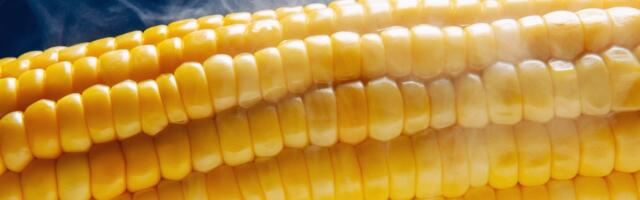 What the heck is “corn sweat” and is it making the Midwest more dangerous?