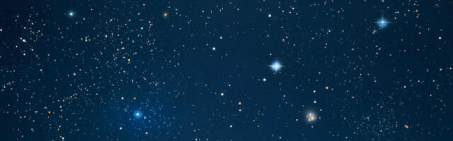 When doctors describe your brain scan as a “starry sky,” it’s not good