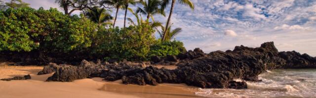 Hawaii’s Maui Locals Speak Out Against Tourism Amid Housing Shortage