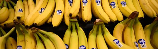 Leaked Emails Show Swedish Minister’s Unique Fear of Bananas