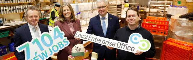 Local Enterprise Offices Helped Create Over 7,100 New Jobs in 2024