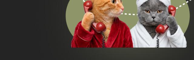 Питомцы и патенты: унитаз, антилай и телефон для кота