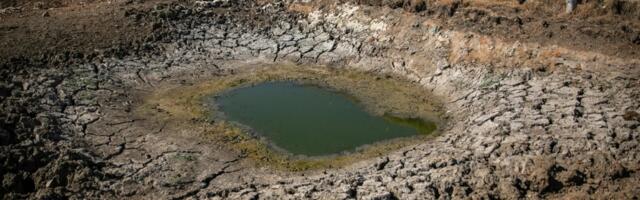 California ranchers intentionally violated an emergency water order. Now lawmakers want to triple the fines