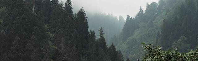 Discover Stardog Voicebox: Revolutionizing Business Data Access