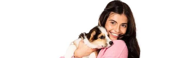 Amsterdam-based Bazoeki secures €450k to expand its platform for buying good puppies from vetted breeder