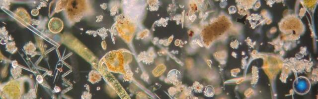 «О движении взвешенных в покоящейся жидкости частиц, требуемом молекулярно-кинетической теорией теплоты»