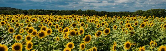 Why You Must Prioritise AI Empowerment in 2026