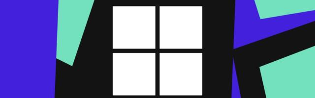 Microsoft fixes storage-hogging Windows 11 folder