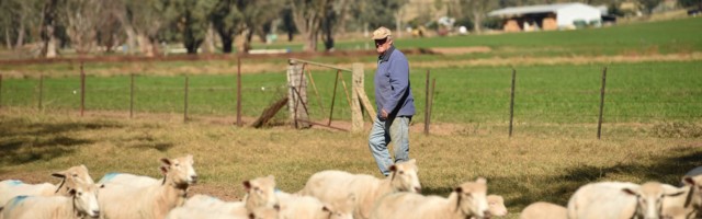 How Australian farmers leverage blockchain in the supply chain