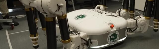 No One Wants A Giant Australian Spider In Their Home - But What About One Building It?