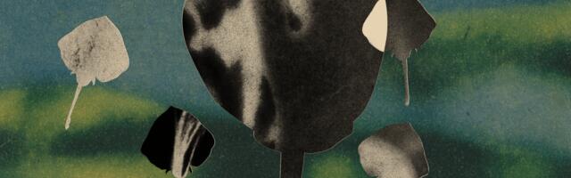 Who’s the father? For these baby animals, one doesn’t exist.