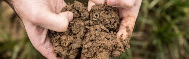 Belgium’s Soil Capital lands €15M to cultivate a greener future through regenerative agriculture: Know more