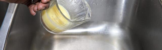 Protect Your Pipes: 9 Things You Should Stop Pouring Down the Kitchen Sink