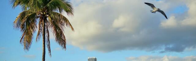 Where have all the Miami portfolio managers gone?