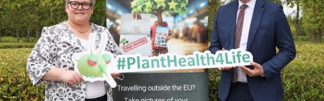 Irish public warned of plant health risks as EU campaign launches