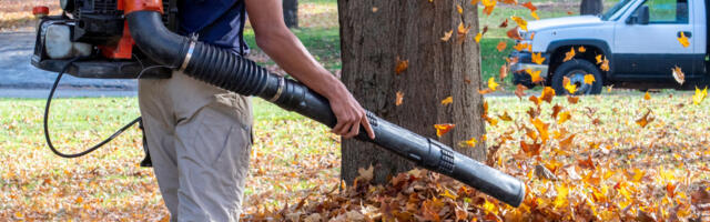 Gas-Powered Leaf Blower Bans Are Escalating Across The US