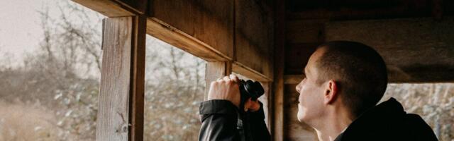 Can AI Ruin Something as Innocent as Birdwatching?