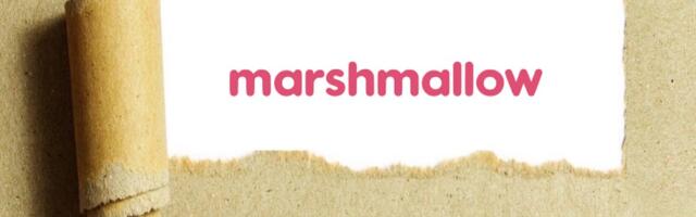 Behind the Idea: Marshmallow