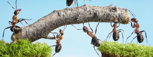 Pulled Ant Group IPO costs Alibaba nearly $60B in market cap