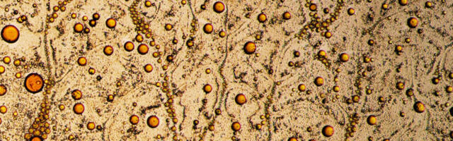 Образование конвективных ячеек в смеси с содержанием камфоры, ментола и йода