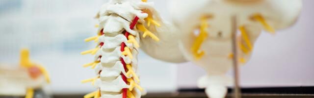 Eindhoven’s ONWARD Medical raises €40.6 million in capital increase to advance spinal cord injury therapies