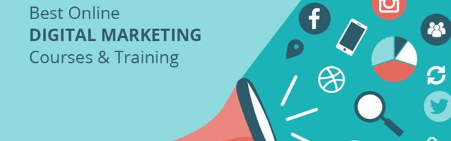 Website Designing Services In Delhi