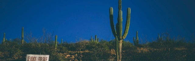 Expect a surge of CVC exits by 2022 — corporates are already exploring options